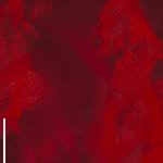 jzx1x 프로필 사진