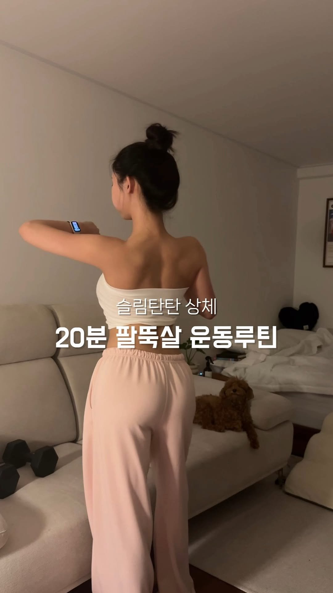 iam.hanee 게시물 이미지: 팔뚝살 뿌시는 홈트 루틴 가져왔어요 .. 🩷
여러 동작이 혼합돼 있어서 이 루틴...