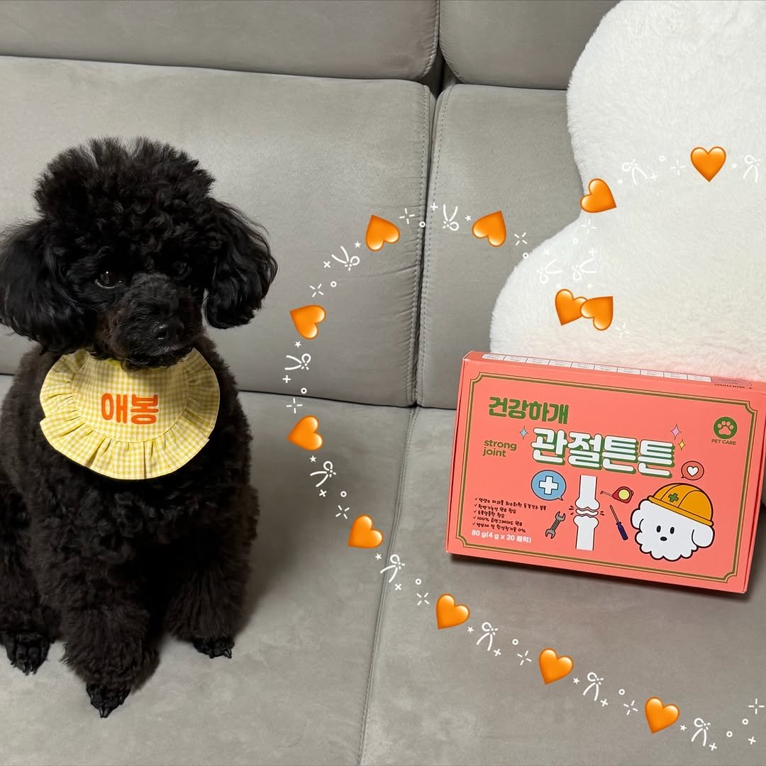 Photo shared by 쫄보 김애봉 𐙚 on November 24, 2025 tagging @geongang_hagae. May be an image of text.