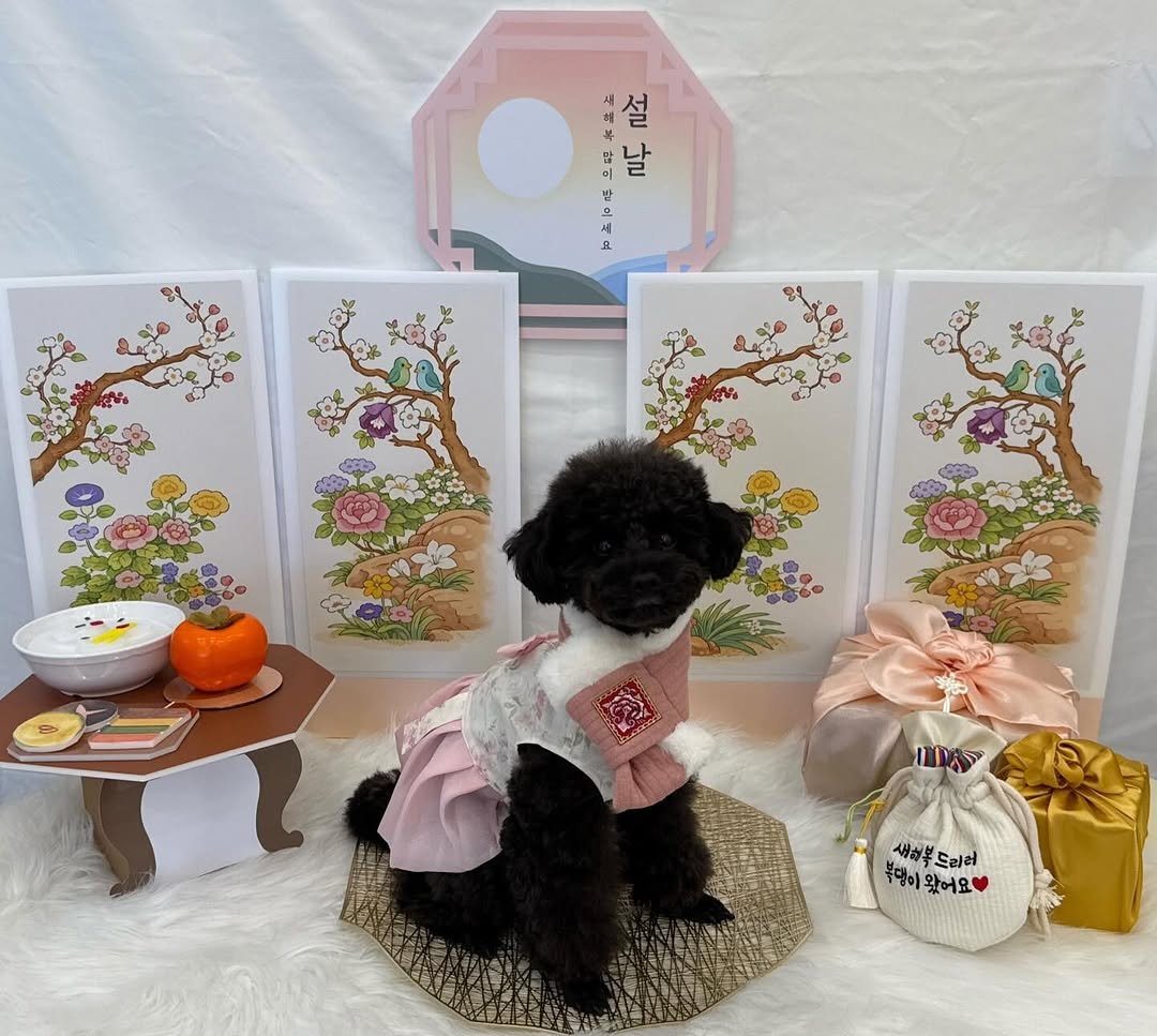 iam_aebong 게시물 이미지: 새해 복 많이 받아 칭구들 🧧♥️