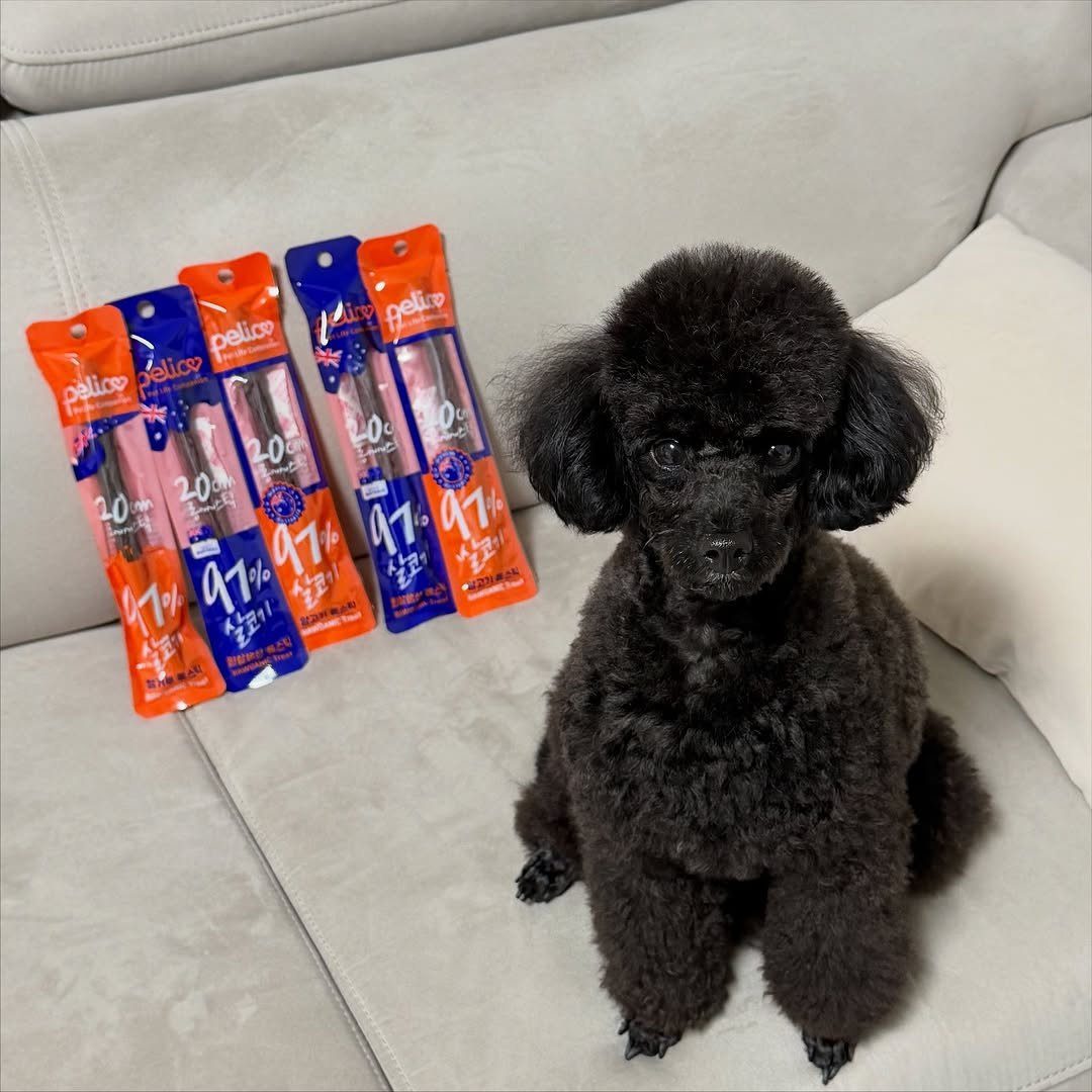 Photo by 쫄보 김애봉 𐙚 on November 04, 2025. May be an image of text.