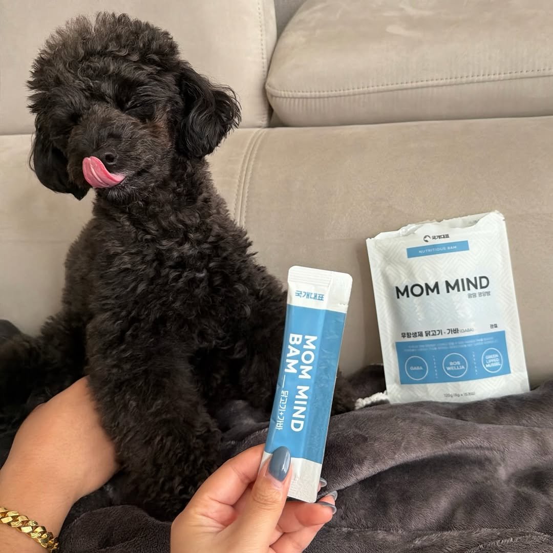 Photo by 쫄보 김애봉 𐙚 on December 20, 2025. May be an image of petfood.