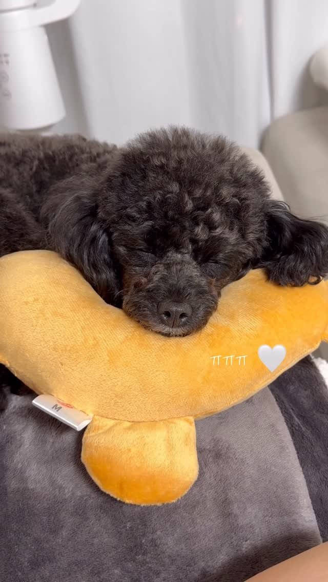 iam_aebong 게시물 이미지: 잘 자 내 아기 ⋆｡ °⋆ 🪽