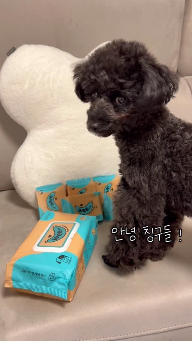 iam_aebong 게시물 이미지: #제품제공 

🏷️ @weelab__ 

위랩 멍인턴 애봉이가 소개하는 물티슈...