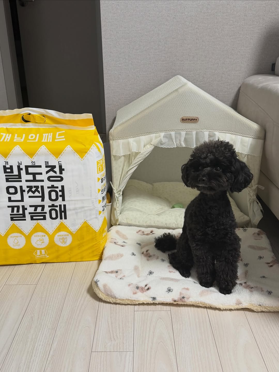 iam_aebong 게시물 이미지: #제품제공

매일 쓰는 배변패드라
싸면 품질이 아쉽고, 좋으면 가격이 부담돼서 늘...