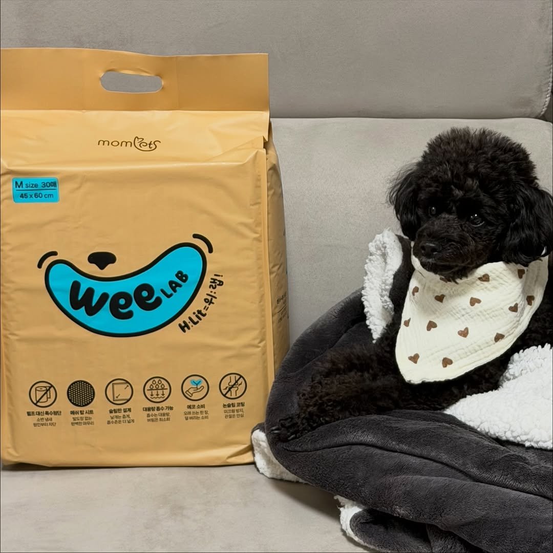 Photo shared by 쫄보 김애봉 𐙚 on November 22, 2025 tagging @weelab__. May be an image of dog and text.