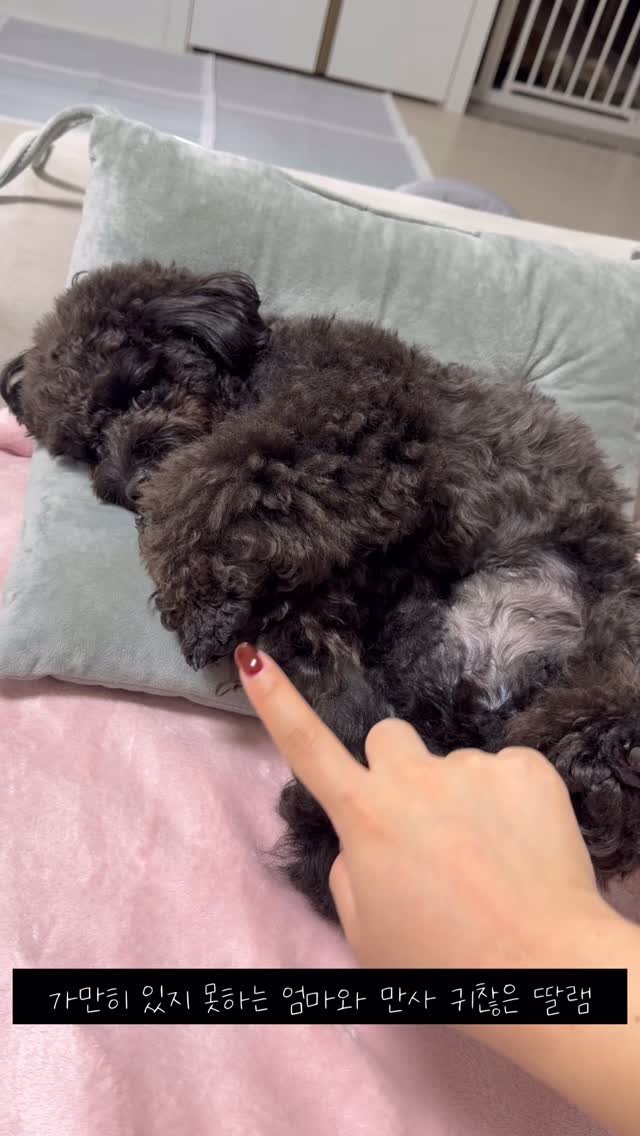 iam_aebong 게시물 이미지: 귀여워서 괴롭히고 싶음 ;;;