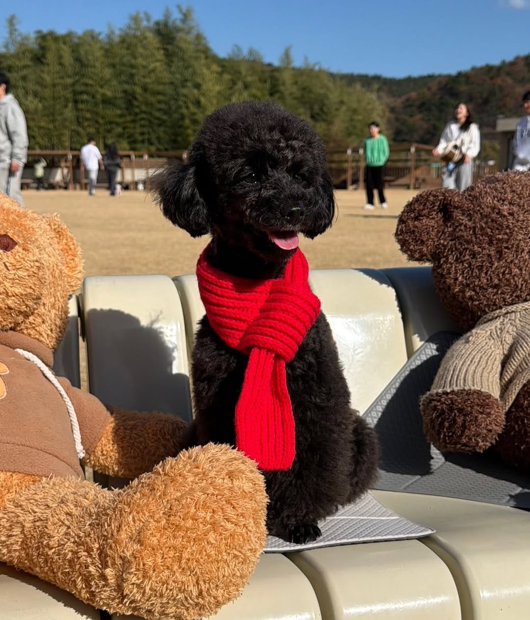 Photo by 쫄보 김애봉 𐙚 on November 30, 2025.