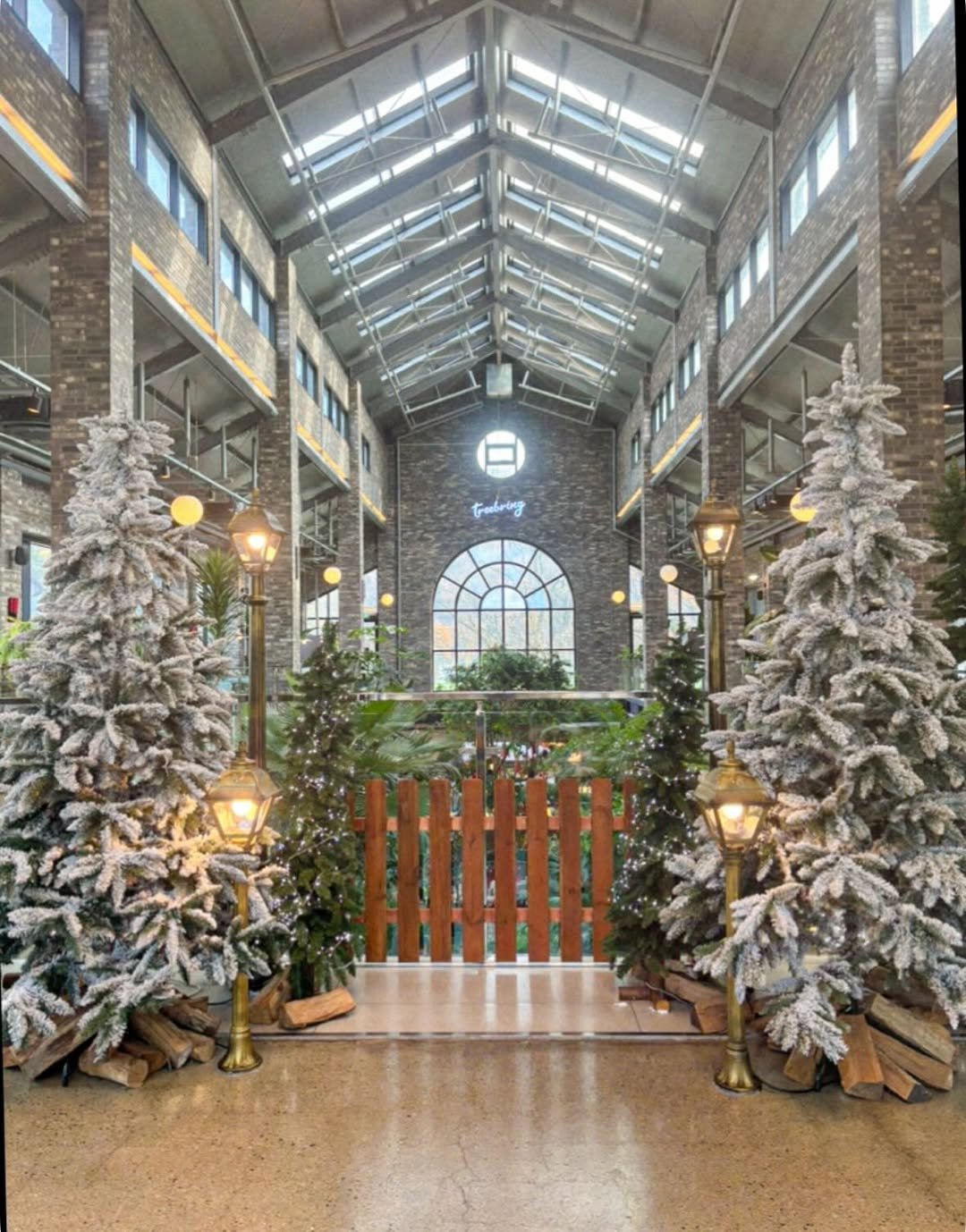 Photo by 다다 on December 02, 2025. May be an image of christmas tree, tinsel and text.