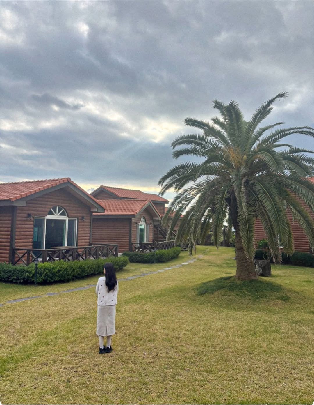 Photo by 다다 on November 21, 2025. May be an image of cloud, grass, palm trees and text.