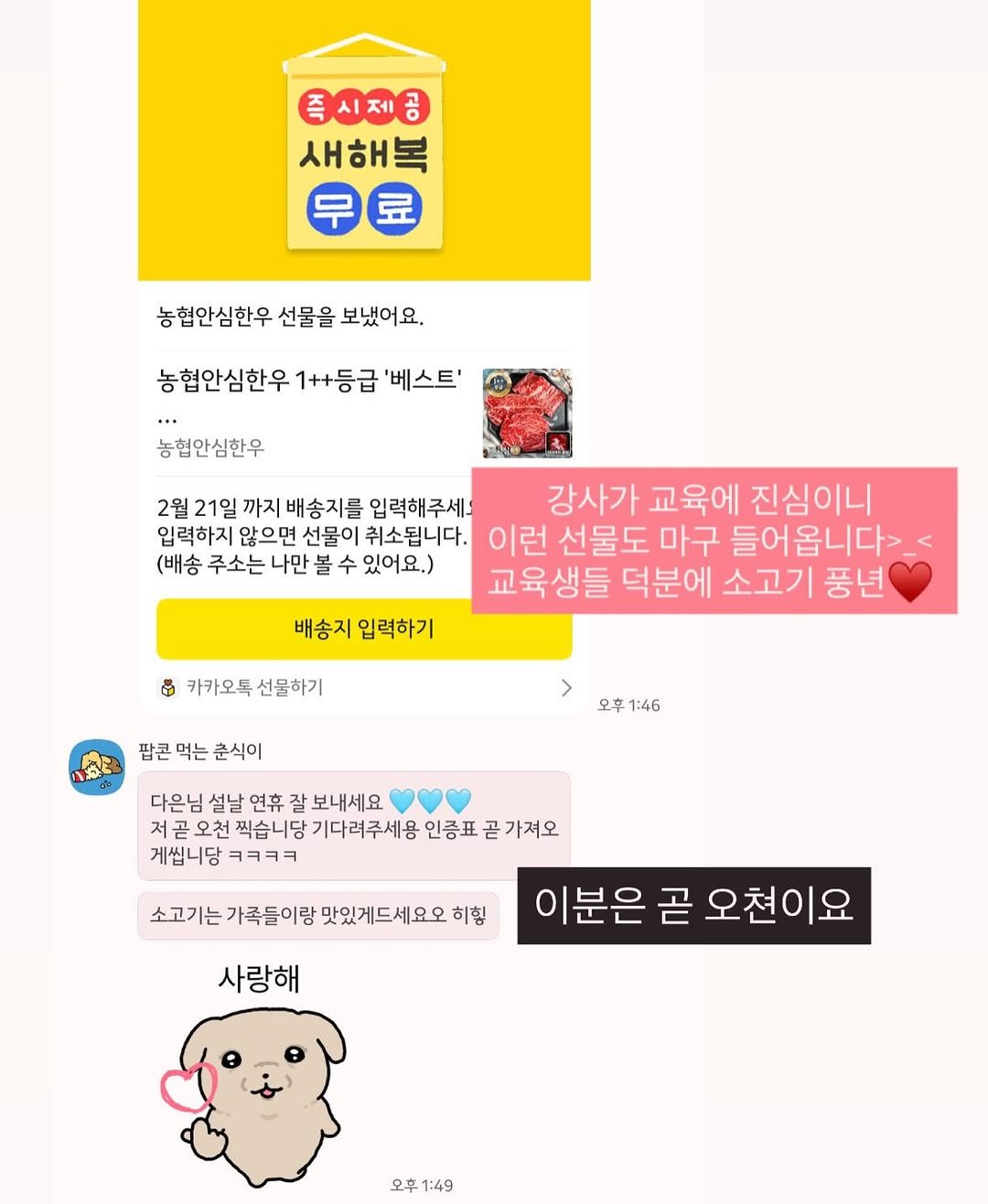 Photo by 다다 on February 18, 2026. May be an image of text that says '즉시제공 새해복 무료 농협안심한우 선물을 보냈어요. 농협안심한우 1++등급 '베스트' 농협안심한우 2월 21일 까지 배송지를 입력해주세 강사가 교육에 진심이니 입력하지 않으면 선물이 취소됩니다. 이런 선물도 마구 들어옵니다> (배송 주소는 나만 있어요.) 교육생들 덕분에 소고기 풍년 배송지 입력하기 ශ‍ 카카오톡 선물하기 팝콘 먹는 춘식이 오후 오후1:46 1:46 다은님 설날 연휴 잘 보내세요 저공오천 오천 찍습니당 기다려주세용 인증표 곧 가져오 게씹니당 ㅋㅋㅋㅋ 소고기는 가족들이랑 맛있게드세요오 히힘 사랑해 이분은 이분은곧오천이요 곧 오천이요 오후 오후1:49 ：49'.