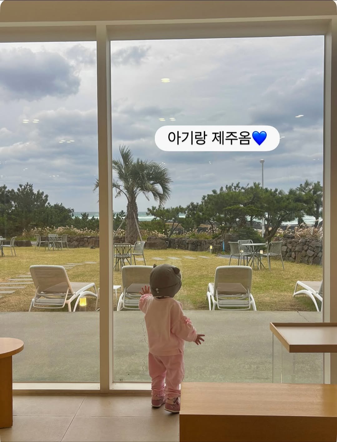 Photo by 다다 on November 18, 2025. May be an image of baby, cornflower, cloud and text that says '아기랑제주옴 아기랑 제주옴'.