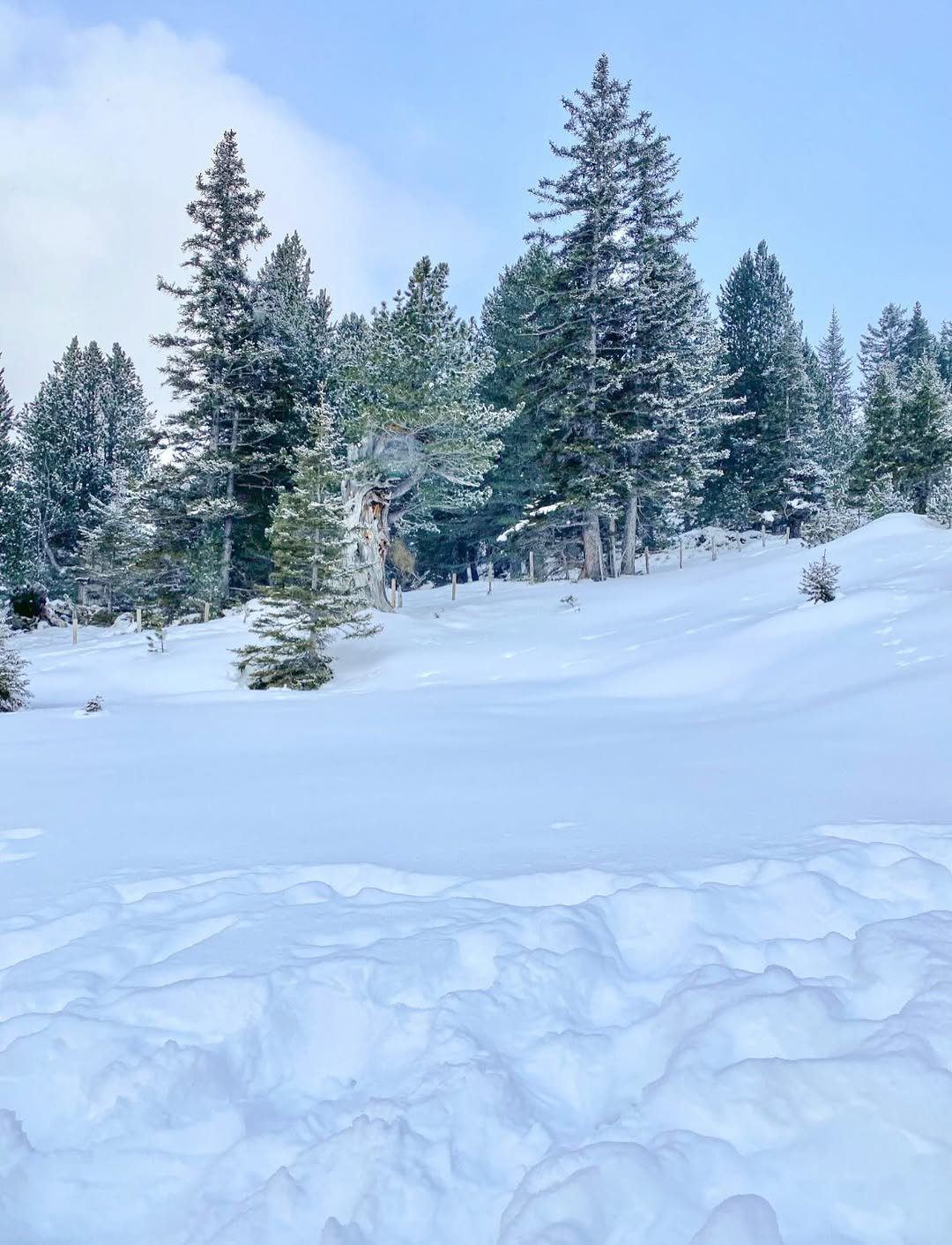 Photo by 다다 on January 14, 2026. May be an image of ski slope, snow and text.