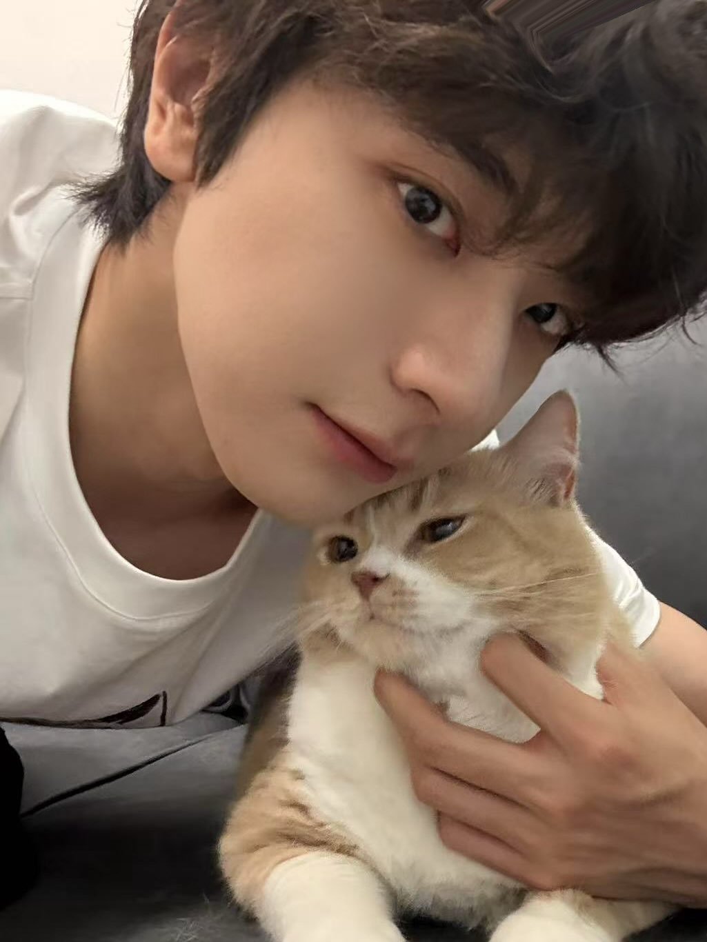 iam_linyi 게시물 이미지: Even working in Spain still miss my little cat...