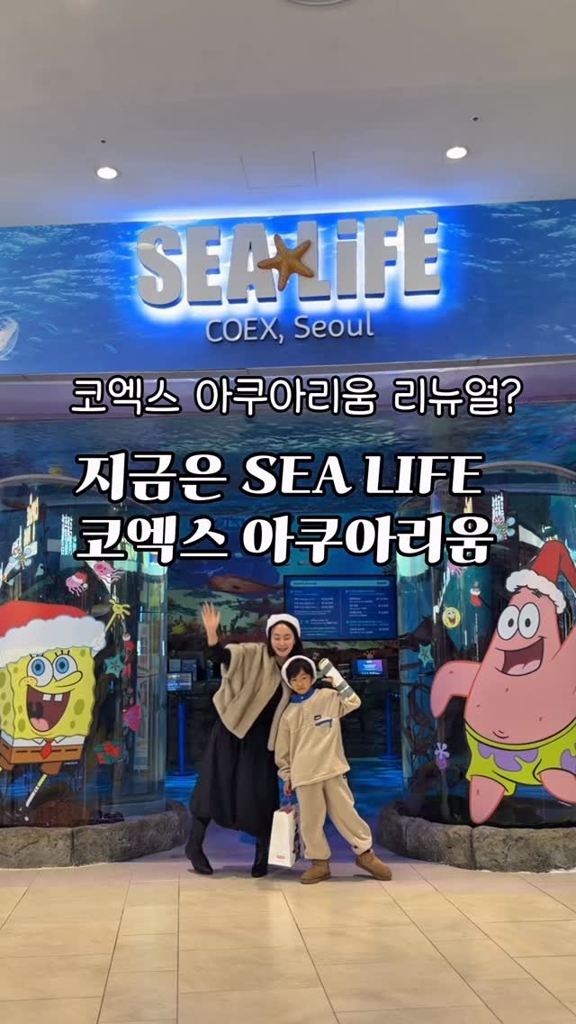 iam_maldi 게시물 이미지: #광고 @sealifecoex 
요즘 리뉴얼된 SEA LIFE 코엑스 아쿠아리움...