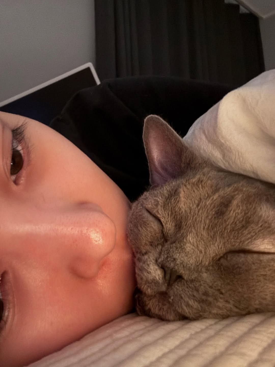 Photo by RYUJIN on January 03, 2026. May be an image of sleeping, kitten, Abyssinian cat and text.