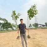 thegreenfoundation1 프로필 사진