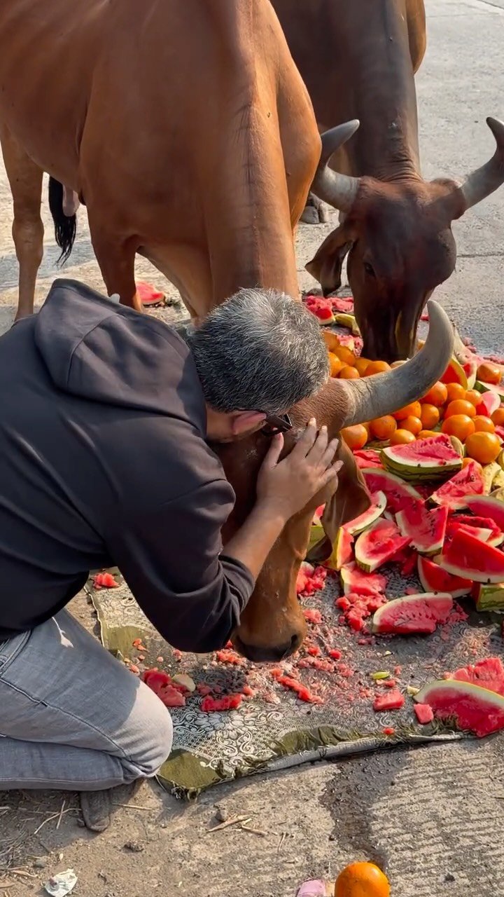 iamhussainmansuri 게시물 이미지: They were so hungry😢 #humanity #instagood #fyp...