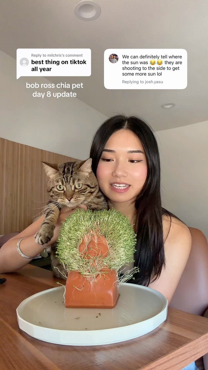 iamjuliahuynh 게시물 이미지: bob moss day 8