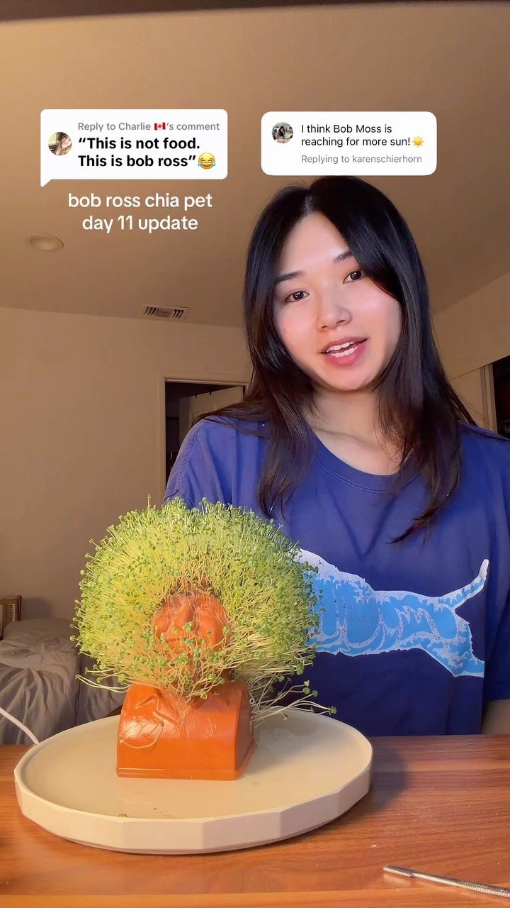 iamjuliahuynh 게시물 이미지: bob moss day 11
