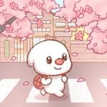 kotsa_kr 프로필 사진