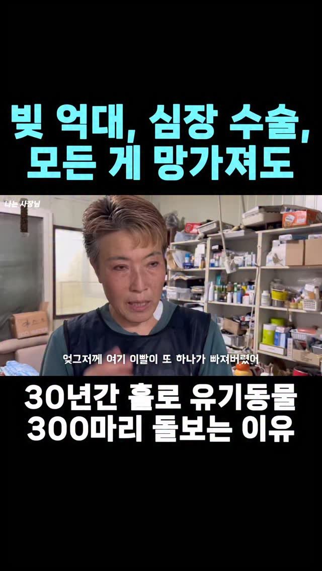 iamsazangnim 게시물 이미지: 📍풀영상은 유튜브 프로필 링크 확인

#유기 #유기동물 #유기견봉사 #유기묘입양...