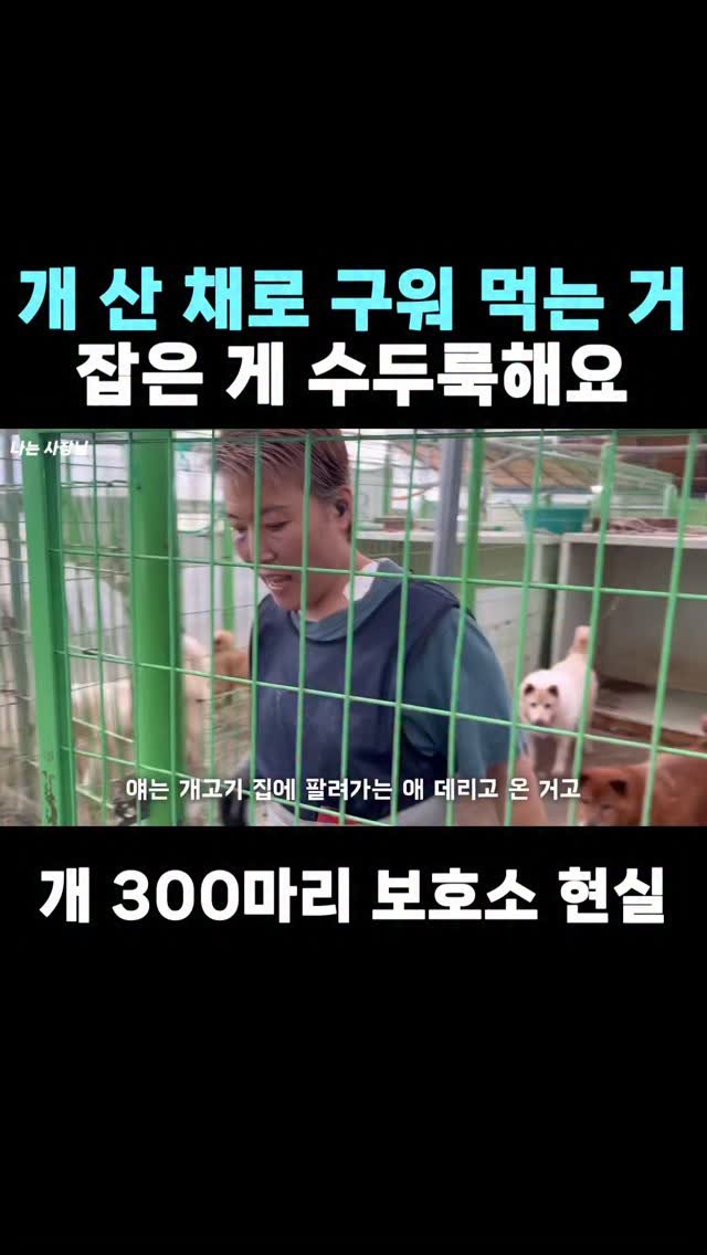 iamsazangnim 게시물 이미지: 📍풀영상은 유튜브 프로필 링크 확인

#유기 #유기동물 #유기견봉사 #유기묘입양...