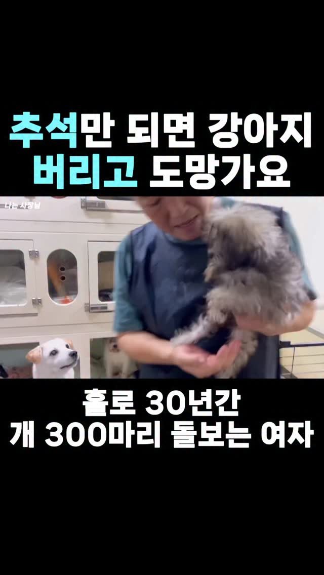 iamsazangnim 게시물 이미지: 📍풀영상은 유튜브 프로필 링크 확인

#유기 #유기동물 #유기견봉사 #유기묘입양...