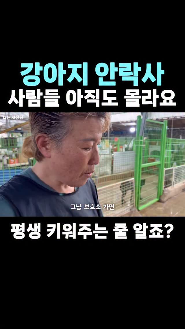 iamsazangnim 게시물 이미지: 📍풀영상은 유튜브 프로필 링크 확인

#유기 #유기동물 #유기견봉사 #유기묘입양...