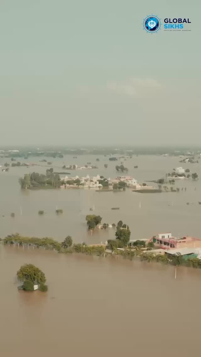 iamsunnydeol 게시물 이미지: ਸਰਬੱਤ ਦਾ ਭਲਾ 
Praying for Punjab 🙏