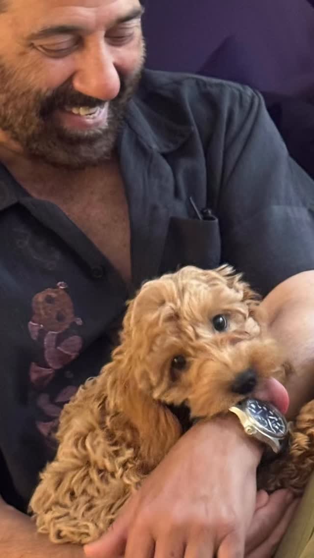 iamsunnydeol 게시물 이미지: Ellie the teddy bear🫡❤️❤️❤️❤️❤️❤️