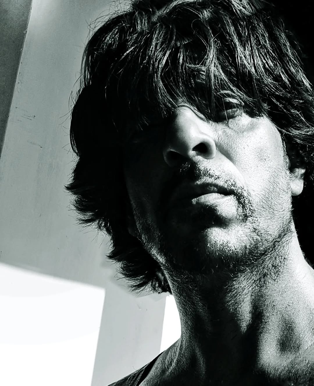 Photo shared by Ibrahim qadri on May 11, 2023 tagging @iamsrk, and @ibrahim__qadri.