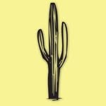 editorialcactus 프로필 사진