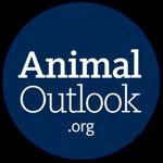 animal.outlook 프로필 사진
