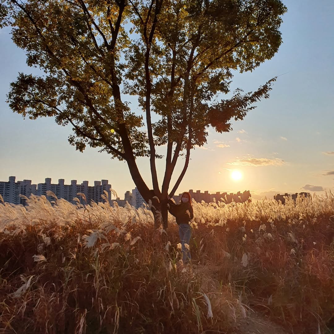 Photo by 조이 on September 26, 2024.