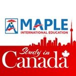 maple_international_education 프로필 사진
