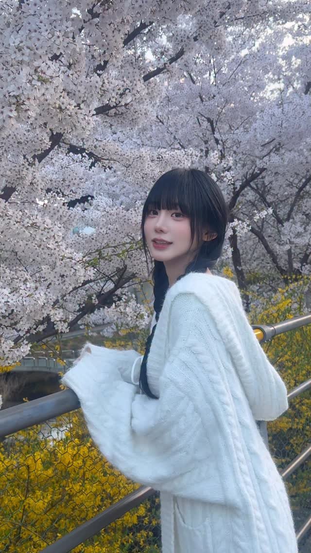 ihate._.eggplant 게시물 이미지: 나도 봤다 벚꽃 (혼자)