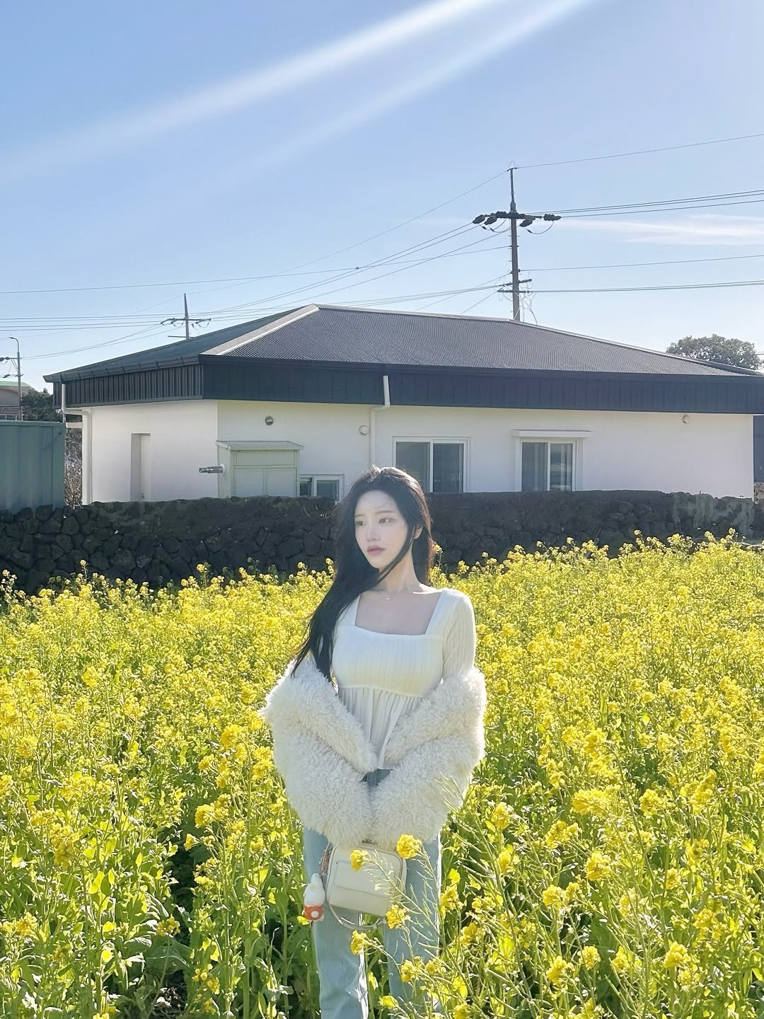Photo by 숨니 on March 27, 2026. May be an image of baby's-breath and text.
