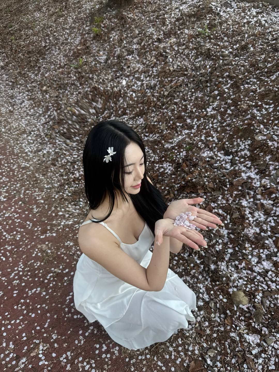 iii_17.0 게시물 이미지: 🌸🌸