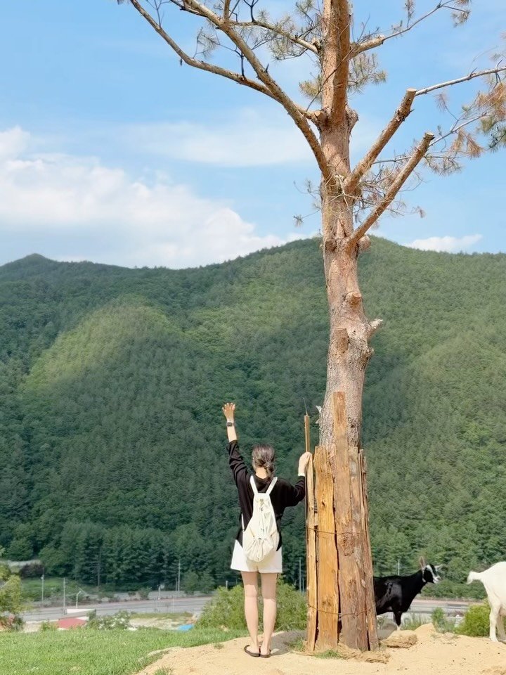 iiinimama_ 게시물 이미지: 안녕하세요, 이니맘입니다 :)
저는 전남친과 연애 시절, 코로나가 시작되던...