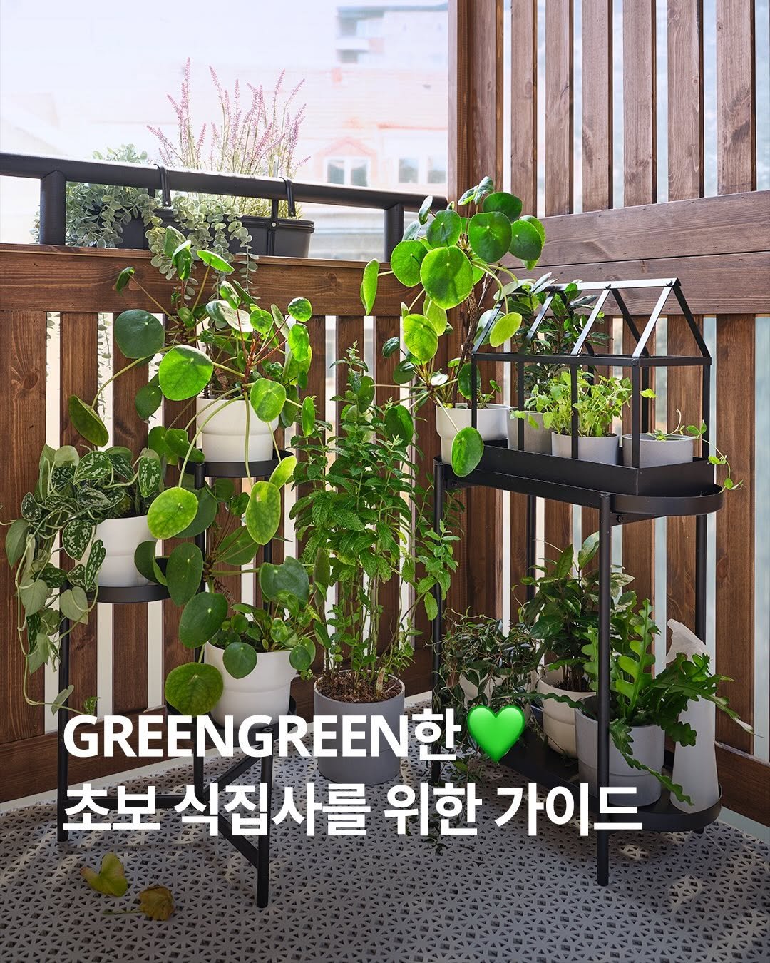 ikeakr 게시물 이미지: 부쩍 더워진 여름날, 집안에 초록빛을 더해보세요🌿

싱그러운 식물 하나만으로도...