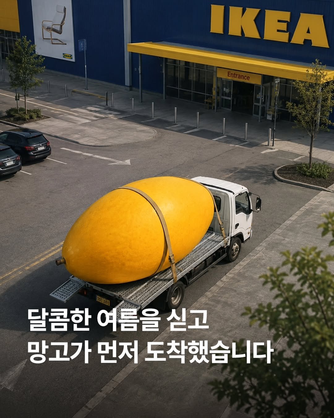 ikeakr 게시물 이미지: #EVENT 띵동! 신선한 망고🥭가 먼저 도착했습니다 
그 뒤를 따라오는 수상한...