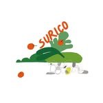 surico_ttr 프로필 사진