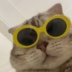 egaemeoggo 프로필 사진