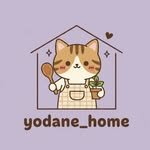 yodalove_25170 프로필 사진