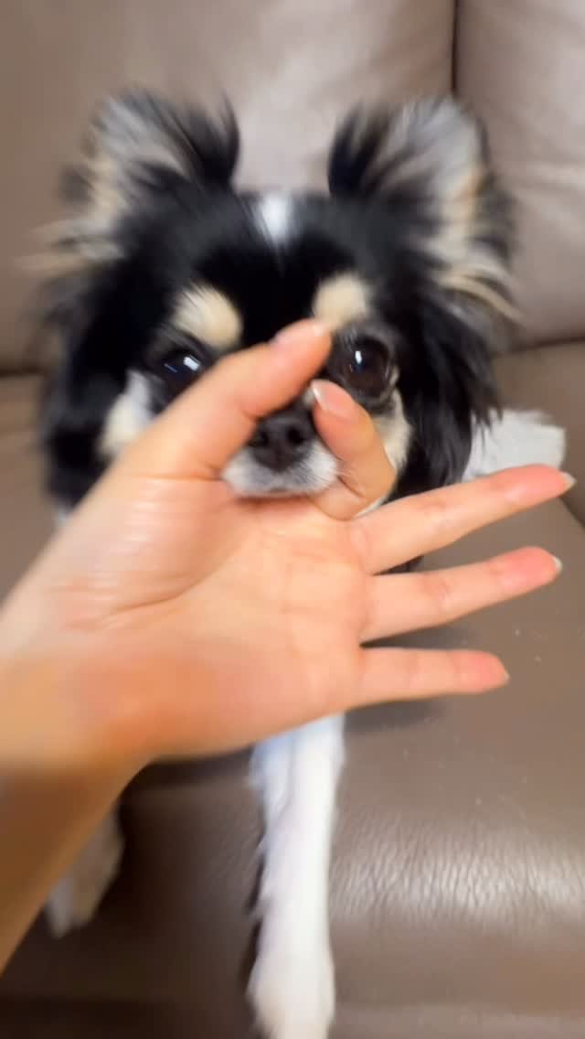 iloveunee 게시물 이미지: 봉순이 릴스 낋였ㄸㅏ.