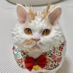 duneejangsu 프로필 사진