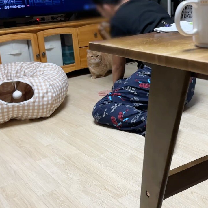 im_deokbae 게시물 이미지: 털삼촌이랑 노는거 그거 어떻게 하는건데
털삼촌 털조카 쫄깃 텐션 대잔치 브이로그...