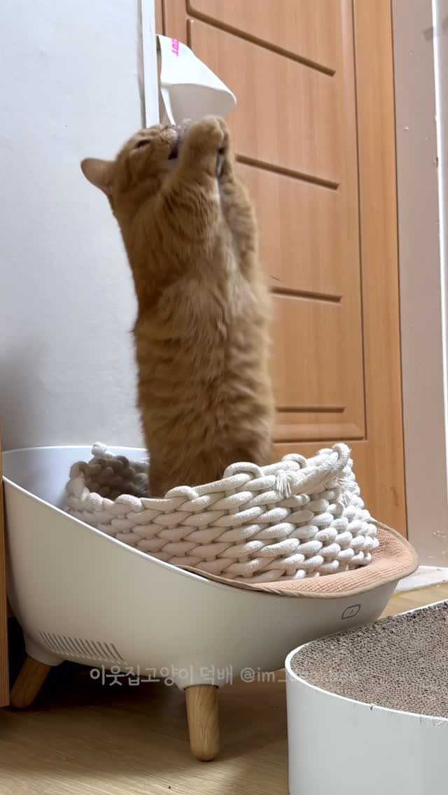 im_deokbae 게시물 이미지: 추석생존기도문🌝🙏🏻

내 인생의 주인공은 나임을 기억합니다.
타인의 입은 가볍고...