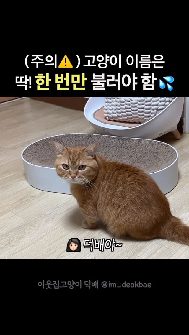 im_deokbae 게시물 이미지: 이걸 모르고 두 번 불렀더니 😂
극대노 결말 🔥ㅋㅋㅋㅋㅋㅋㅋㅋ

#극대노...